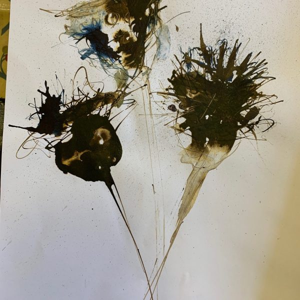 IMG_4951